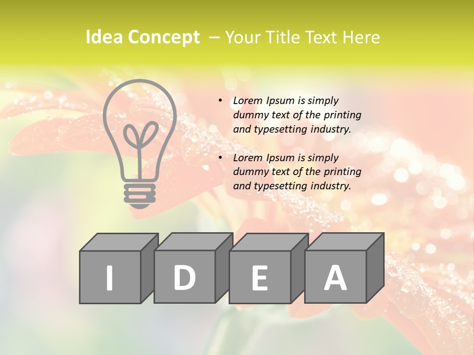 Beautiful Gerbera Petals PowerPoint Template