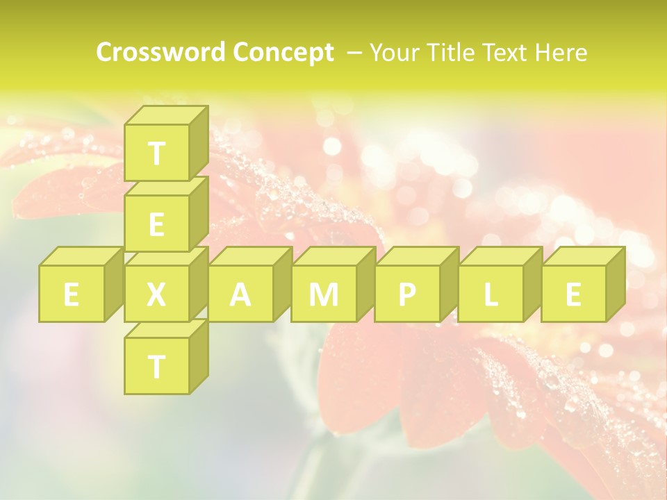 Beautiful Gerbera Petals PowerPoint Template