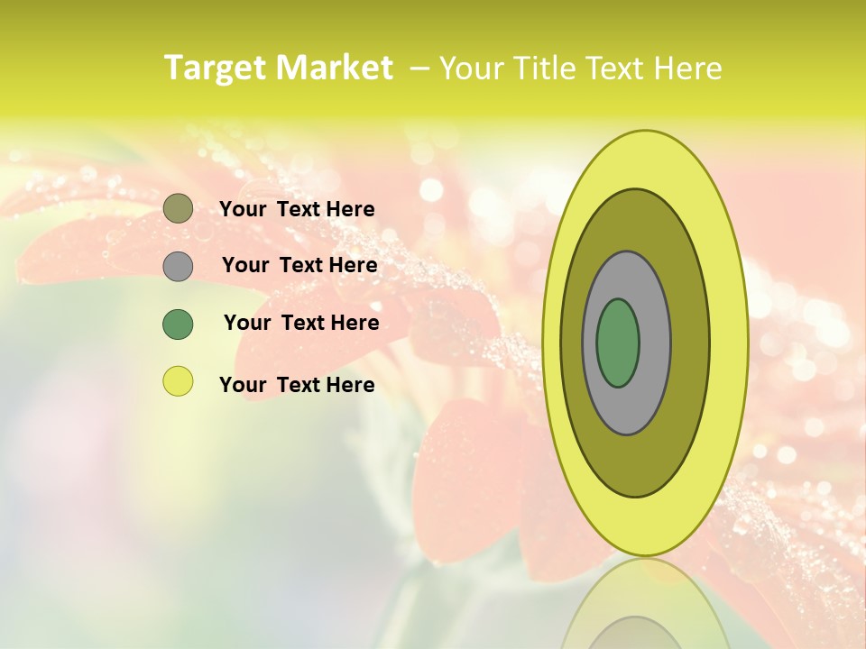 Beautiful Gerbera Petals PowerPoint Template