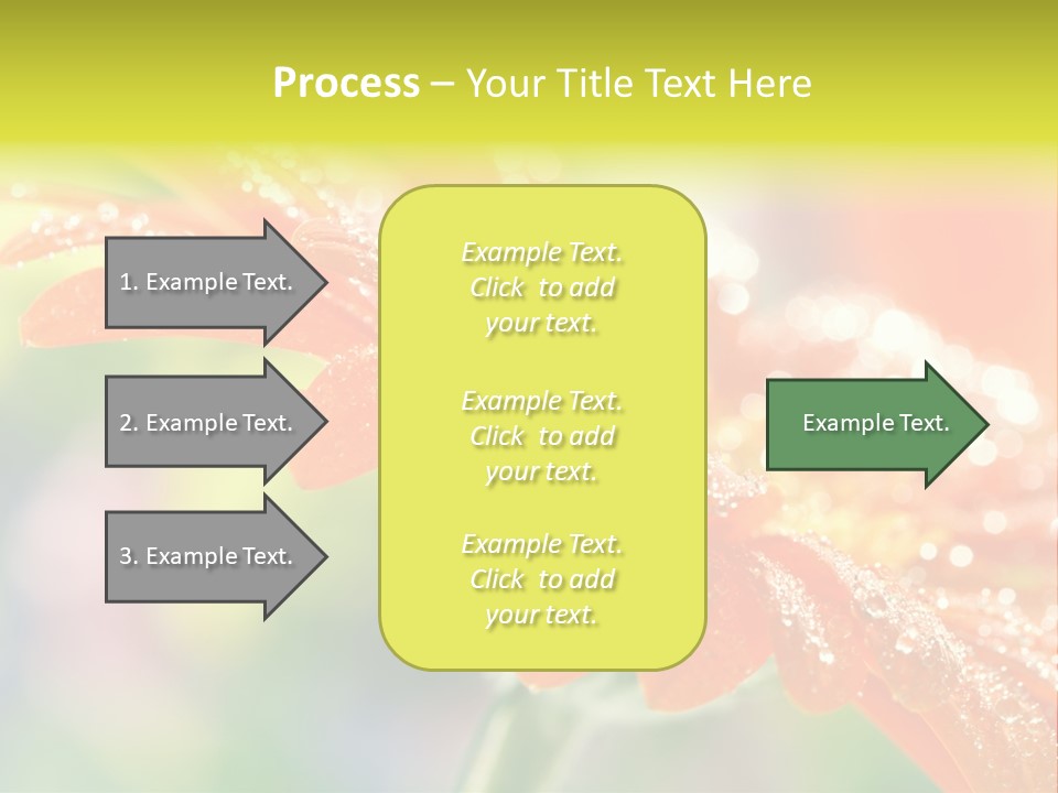 Beautiful Gerbera Petals PowerPoint Template