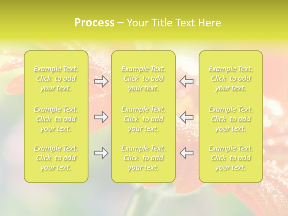 Beautiful Gerbera Petals PowerPoint Template