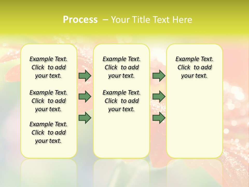Beautiful Gerbera Petals PowerPoint Template