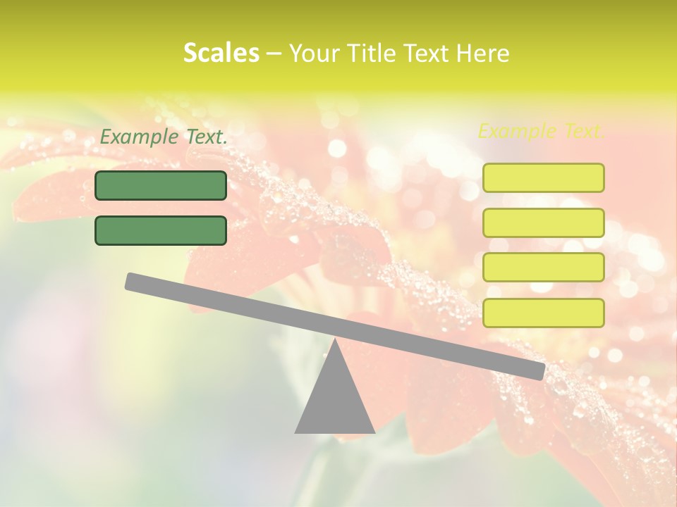 Beautiful Gerbera Petals PowerPoint Template