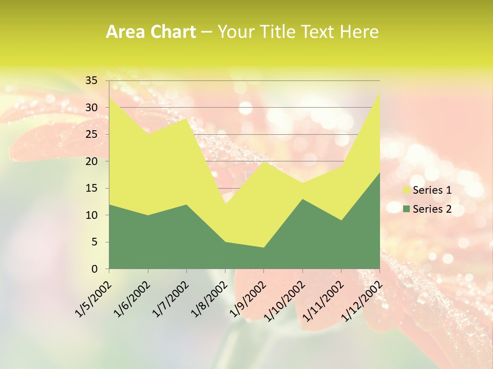 Beautiful Gerbera Petals PowerPoint Template
