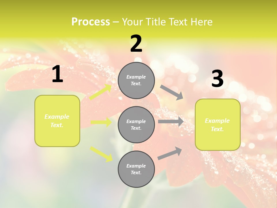 Beautiful Gerbera Petals PowerPoint Template
