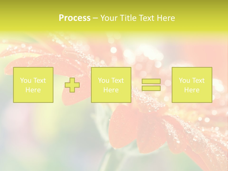 Beautiful Gerbera Petals PowerPoint Template