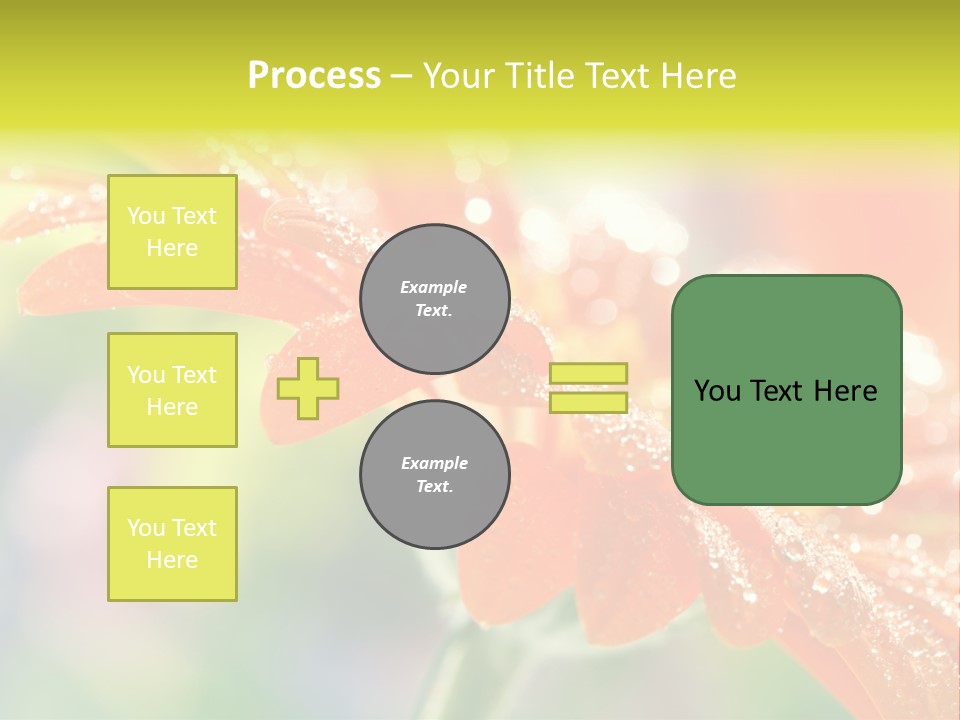 Beautiful Gerbera Petals PowerPoint Template