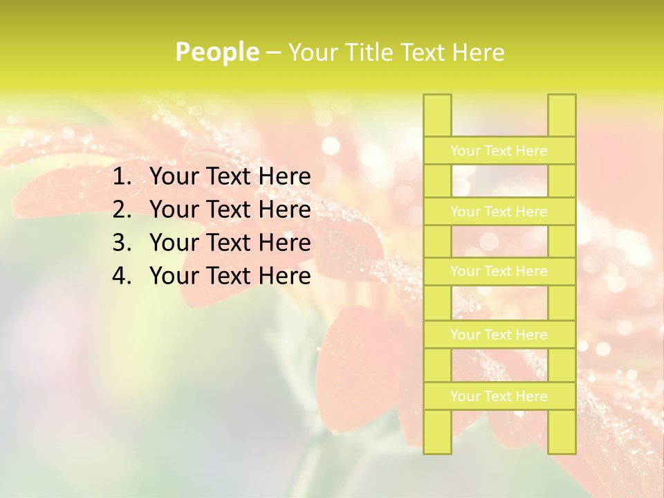 Beautiful Gerbera Petals PowerPoint Template