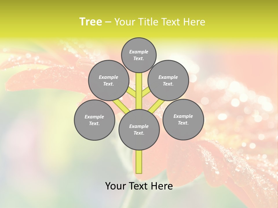 Beautiful Gerbera Petals PowerPoint Template