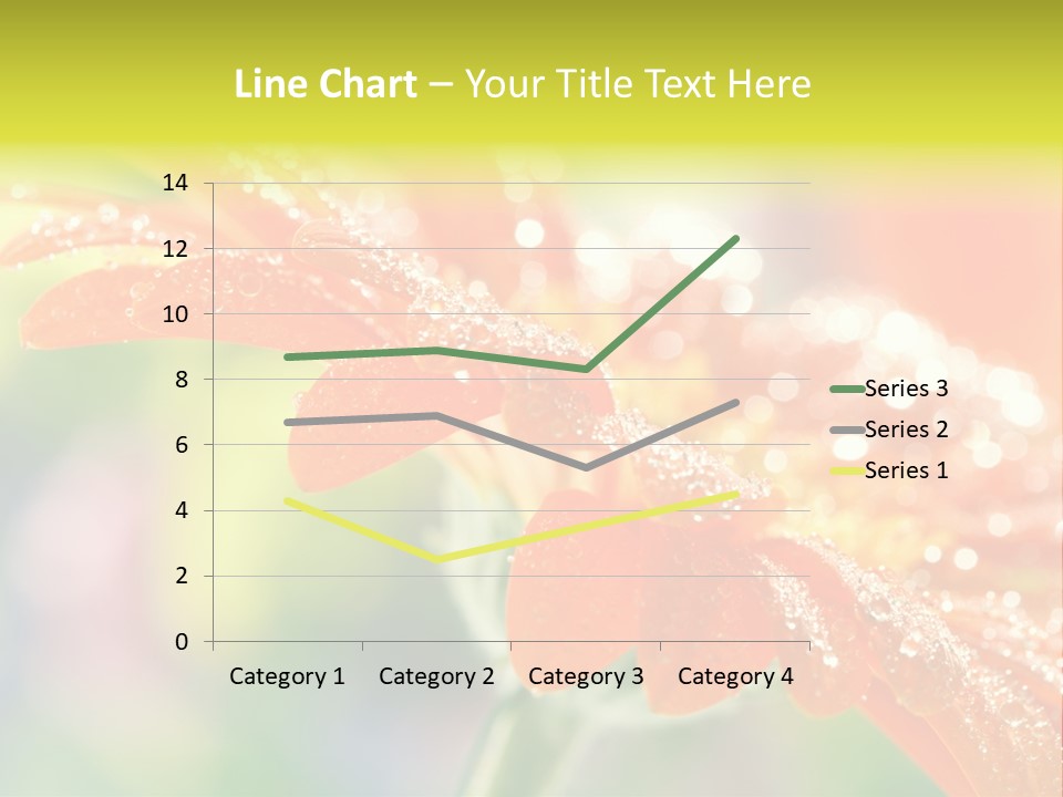 Beautiful Gerbera Petals PowerPoint Template