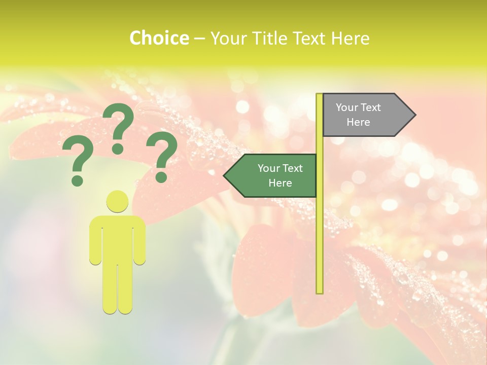 Beautiful Gerbera Petals PowerPoint Template