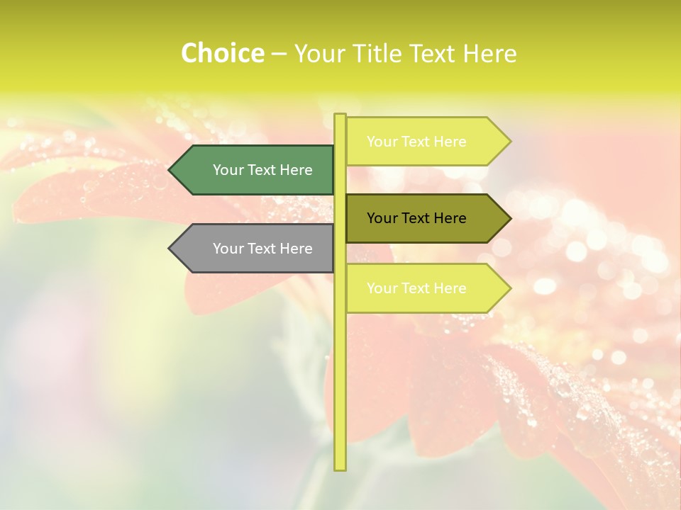 Beautiful Gerbera Petals PowerPoint Template