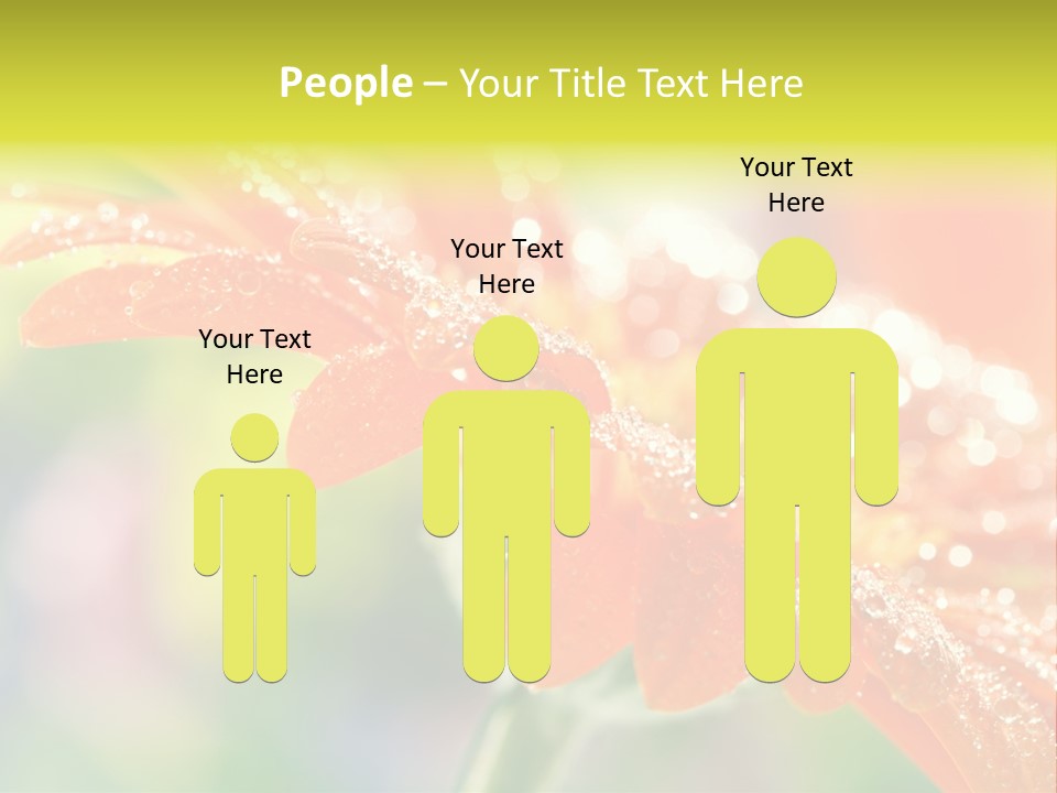 Beautiful Gerbera Petals PowerPoint Template