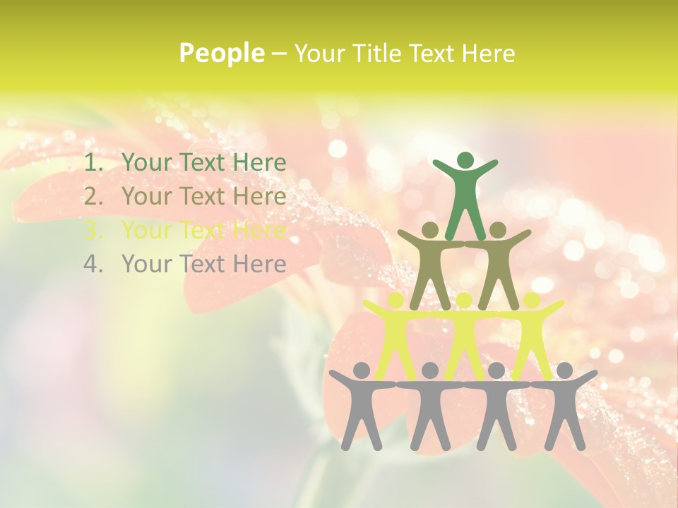 Beautiful Gerbera Petals PowerPoint Template