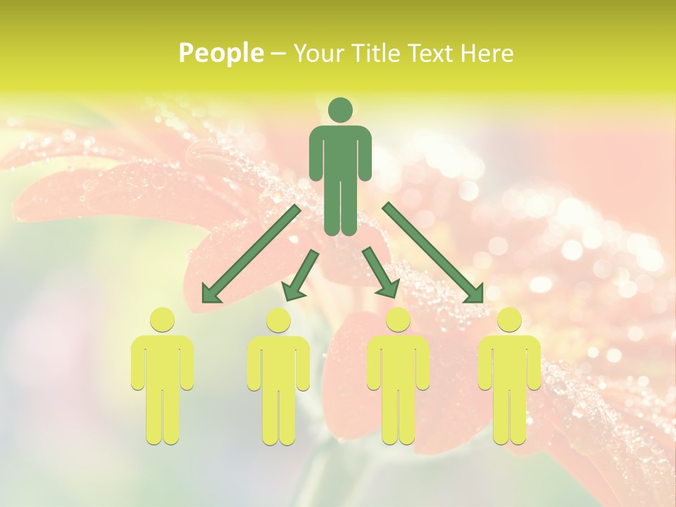 Beautiful Gerbera Petals PowerPoint Template