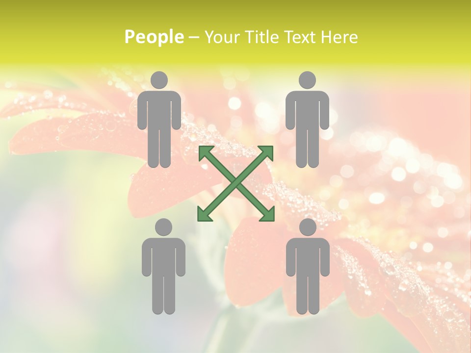 Beautiful Gerbera Petals PowerPoint Template