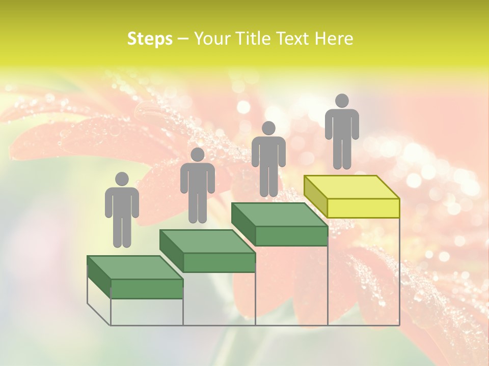 Beautiful Gerbera Petals PowerPoint Template