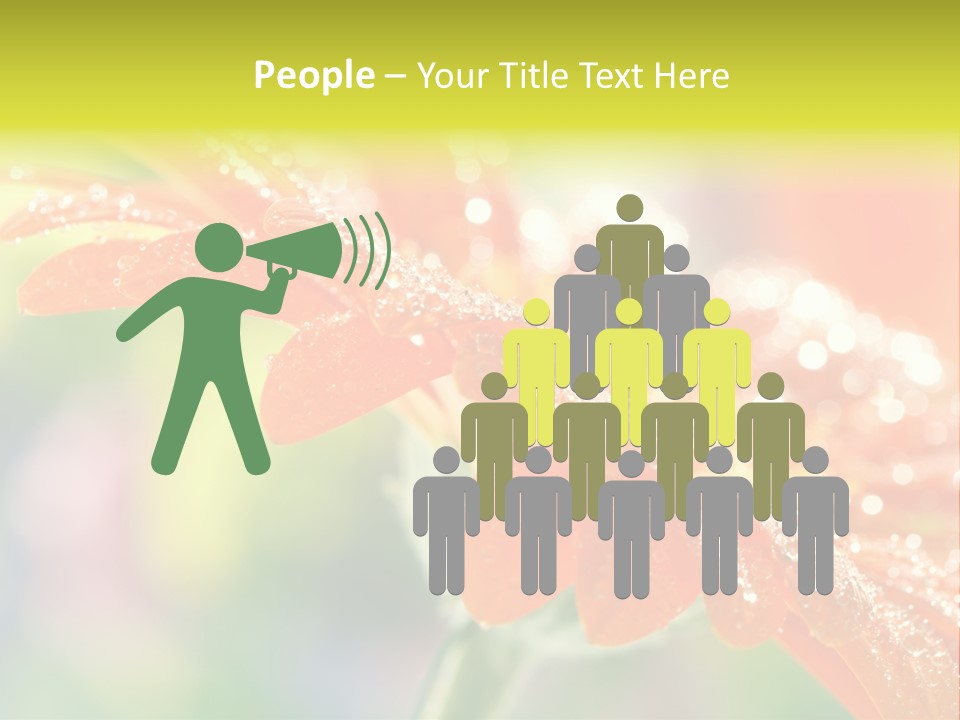 Beautiful Gerbera Petals PowerPoint Template