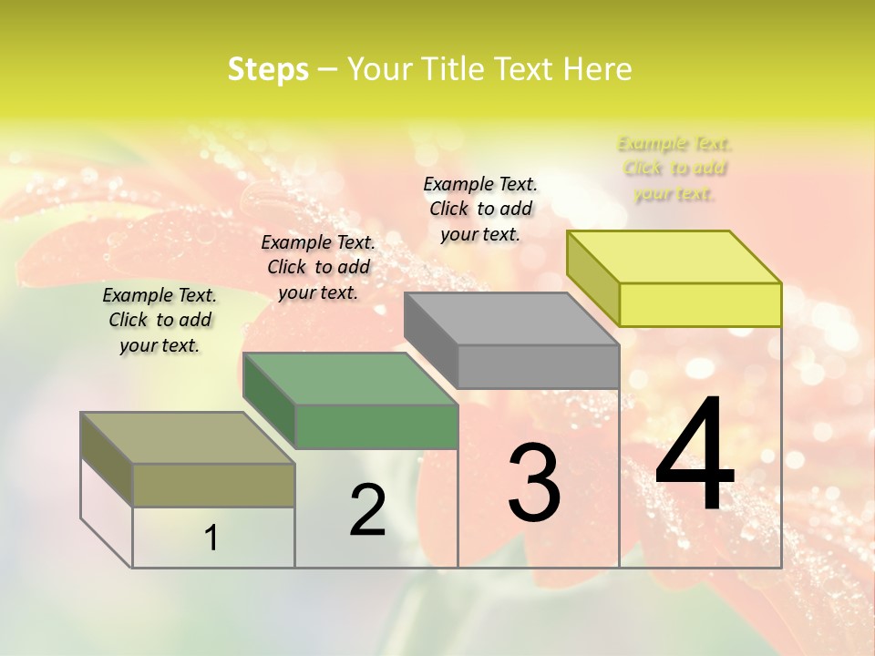 Beautiful Gerbera Petals PowerPoint Template