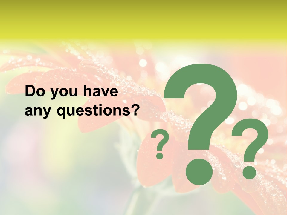 Beautiful Gerbera Petals PowerPoint Template