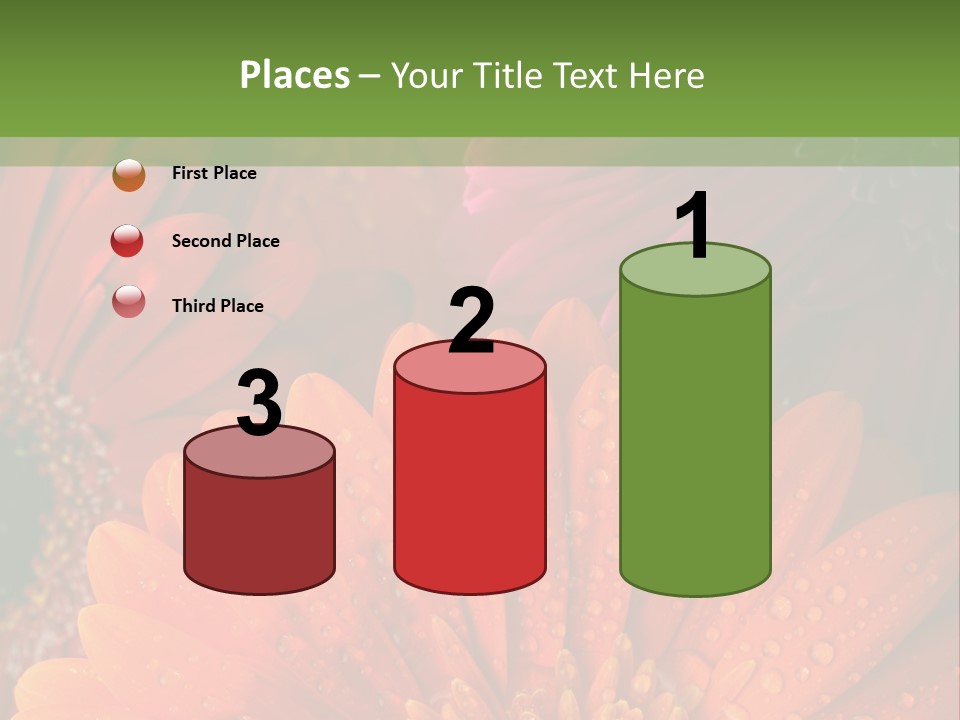 Gerbera Background Seasonal PowerPoint Template