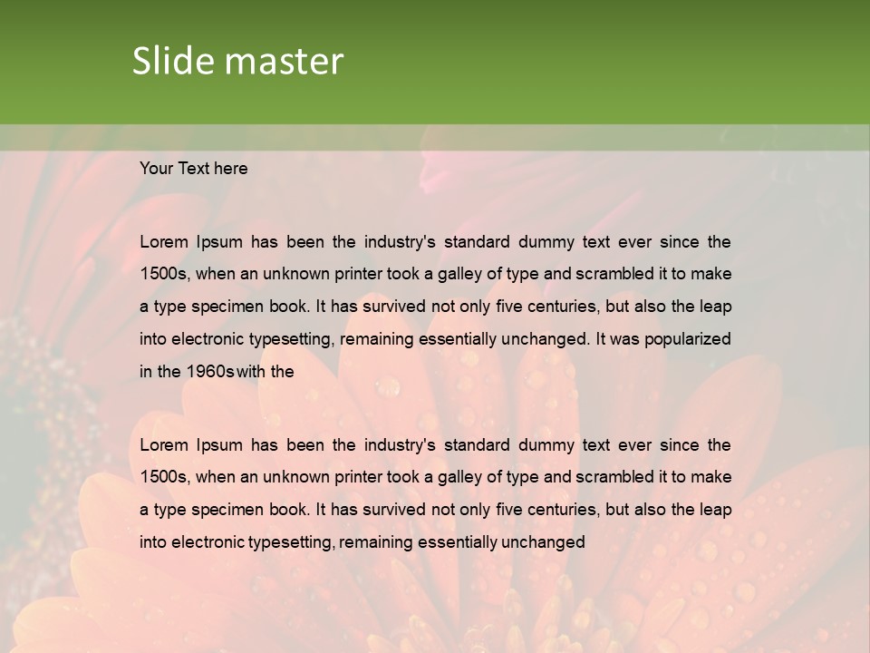 Gerbera Background Seasonal PowerPoint Template