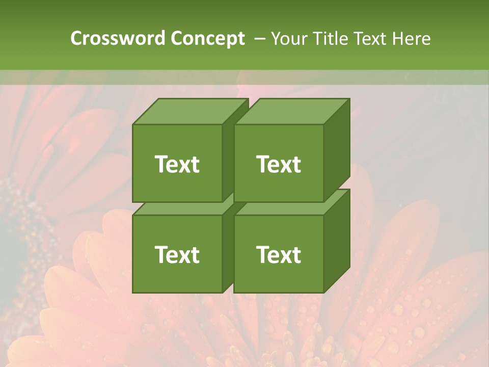 Gerbera Background Seasonal PowerPoint Template