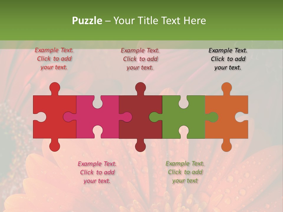 Gerbera Background Seasonal PowerPoint Template