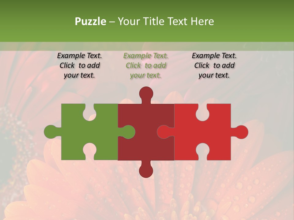 Gerbera Background Seasonal PowerPoint Template