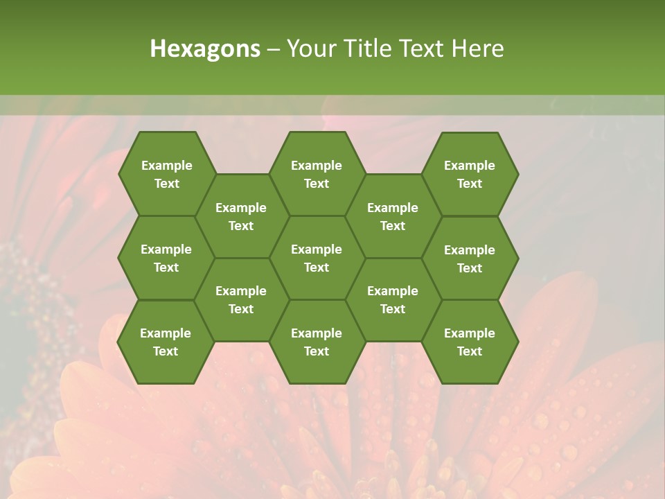 Gerbera Background Seasonal PowerPoint Template