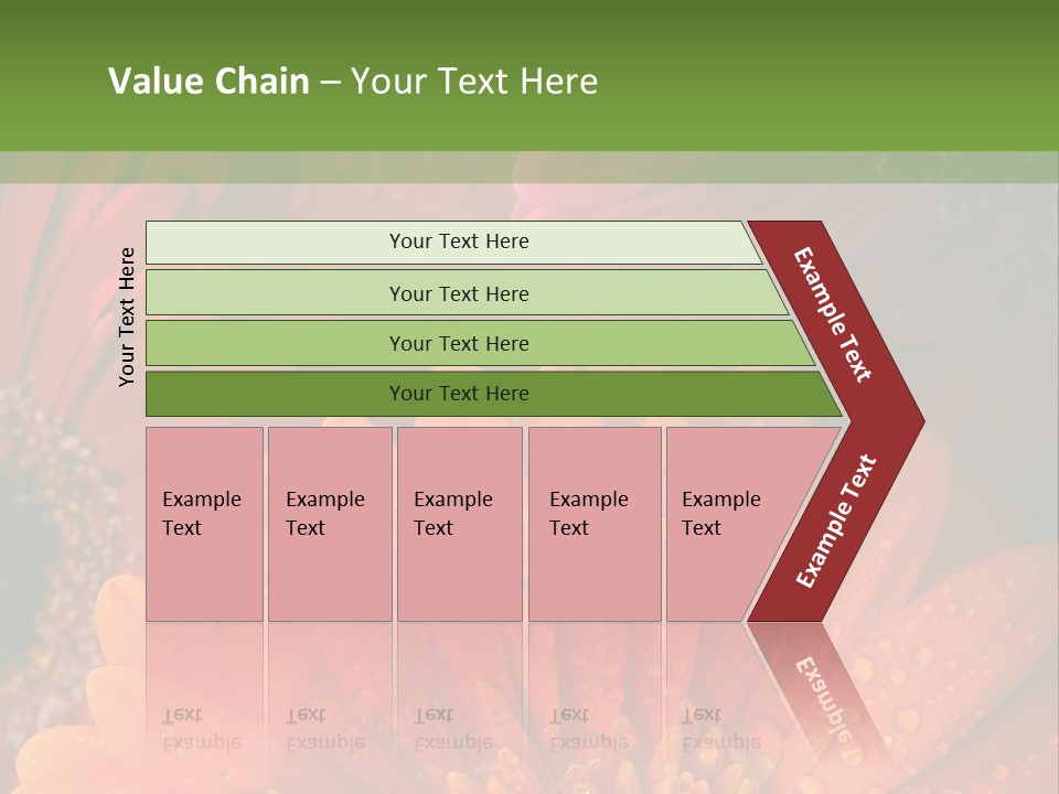 Gerbera Background Seasonal PowerPoint Template