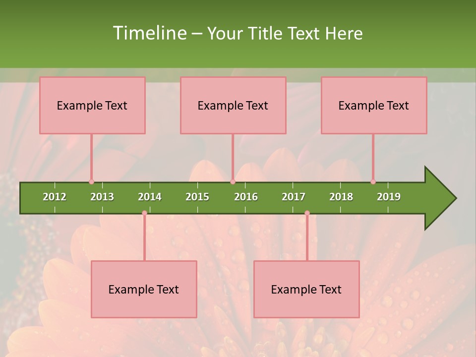 Gerbera Background Seasonal PowerPoint Template