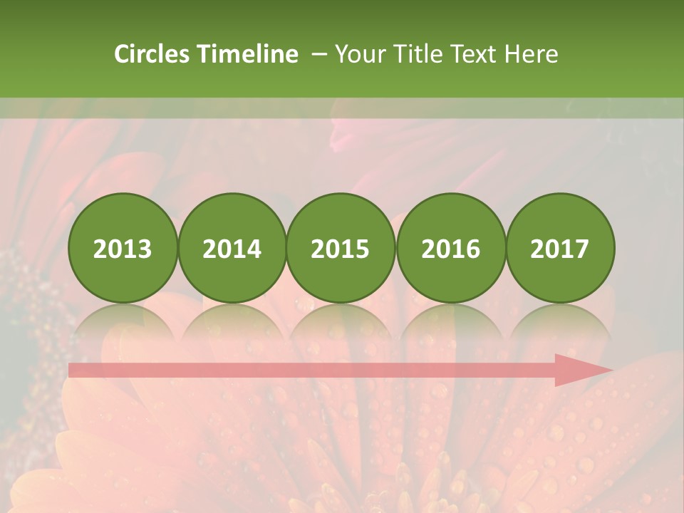 Gerbera Background Seasonal PowerPoint Template