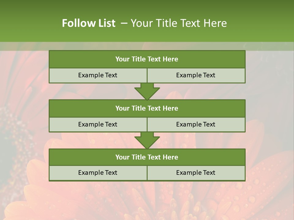 Gerbera Background Seasonal PowerPoint Template