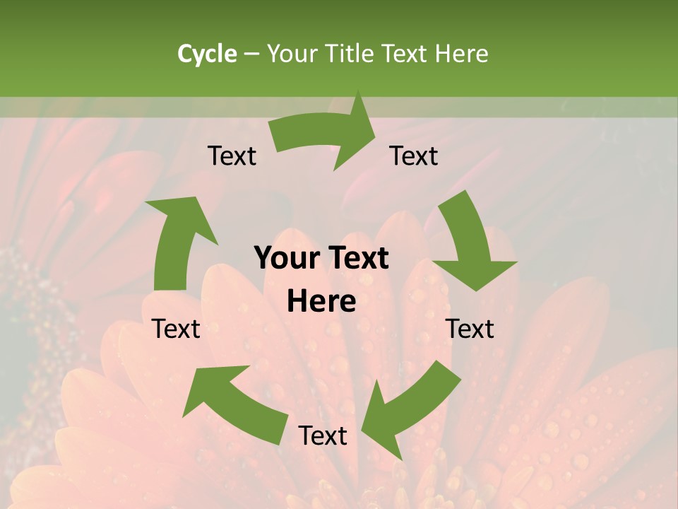 Gerbera Background Seasonal PowerPoint Template