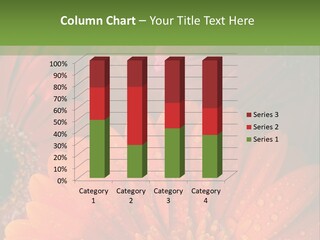 Gerbera Background Seasonal PowerPoint Template