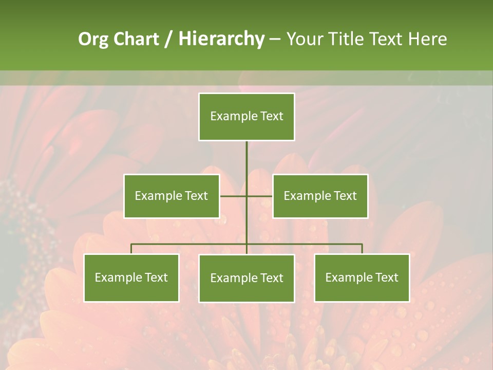 Gerbera Background Seasonal PowerPoint Template