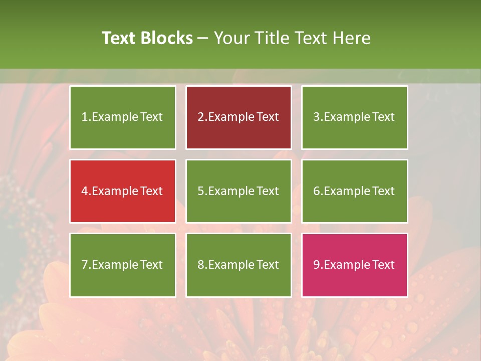 Gerbera Background Seasonal PowerPoint Template