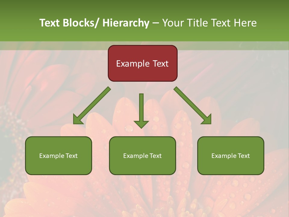 Gerbera Background Seasonal PowerPoint Template