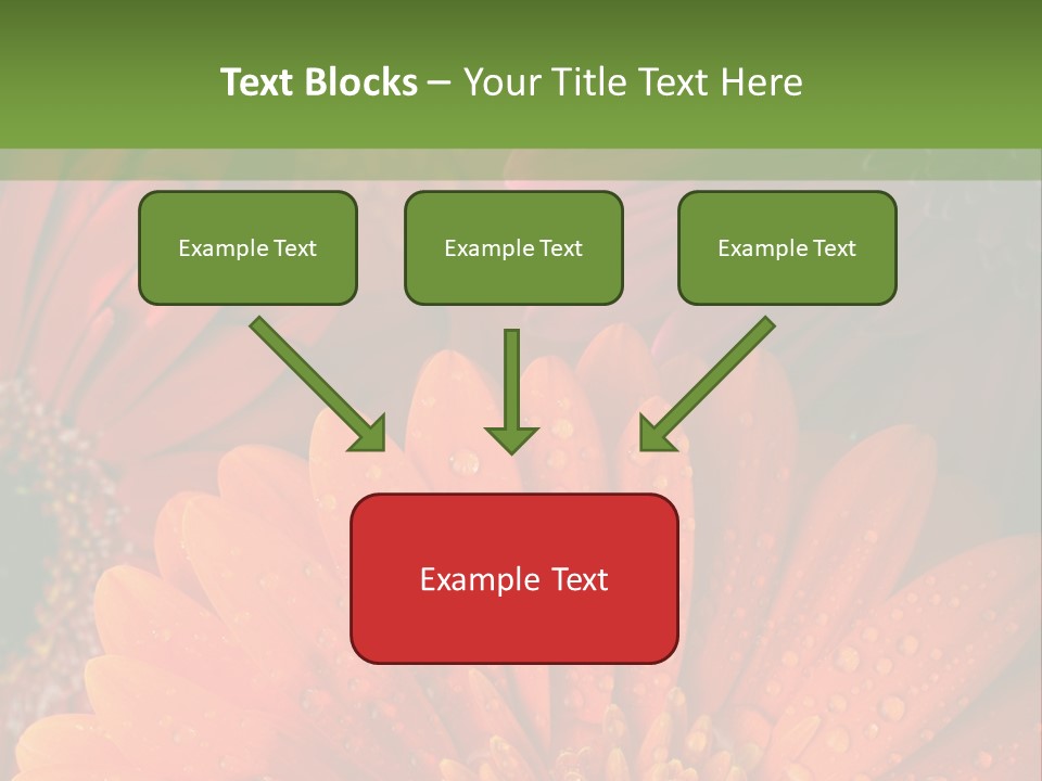 Gerbera Background Seasonal PowerPoint Template