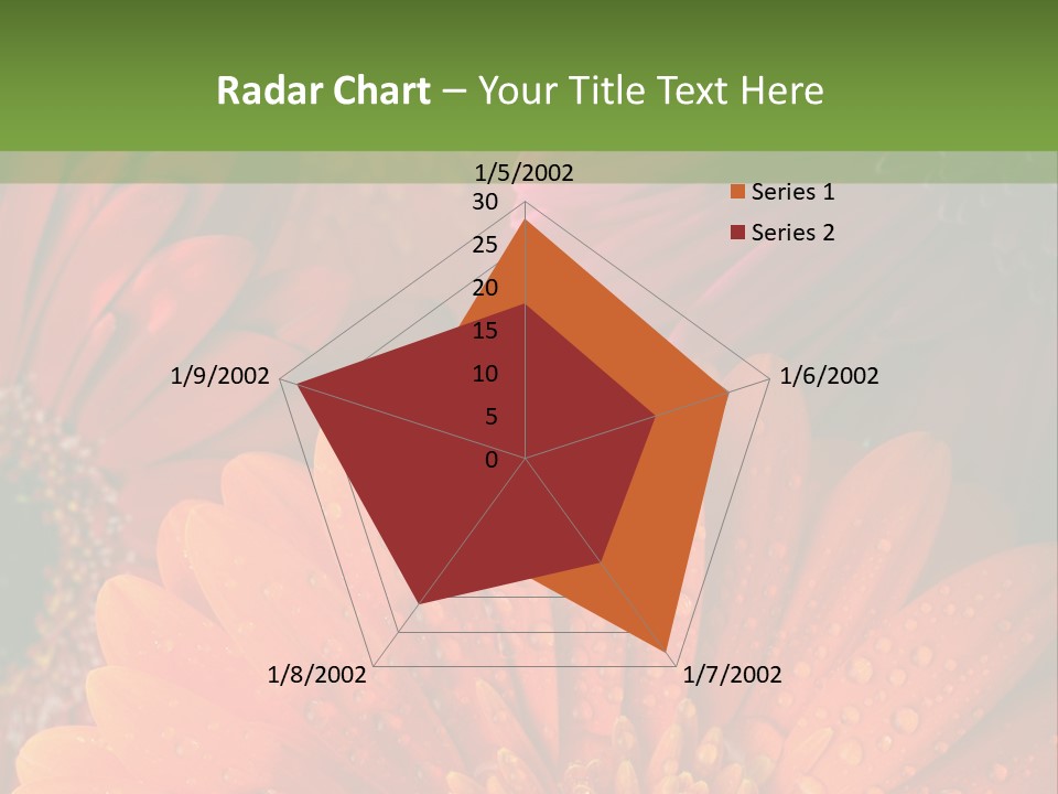 Gerbera Background Seasonal PowerPoint Template