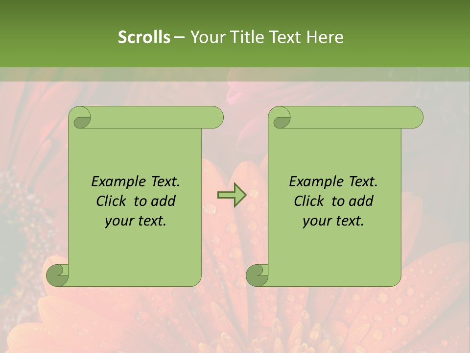 Gerbera Background Seasonal PowerPoint Template