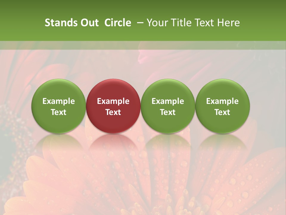 Gerbera Background Seasonal PowerPoint Template