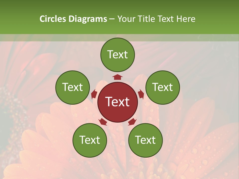 Gerbera Background Seasonal PowerPoint Template