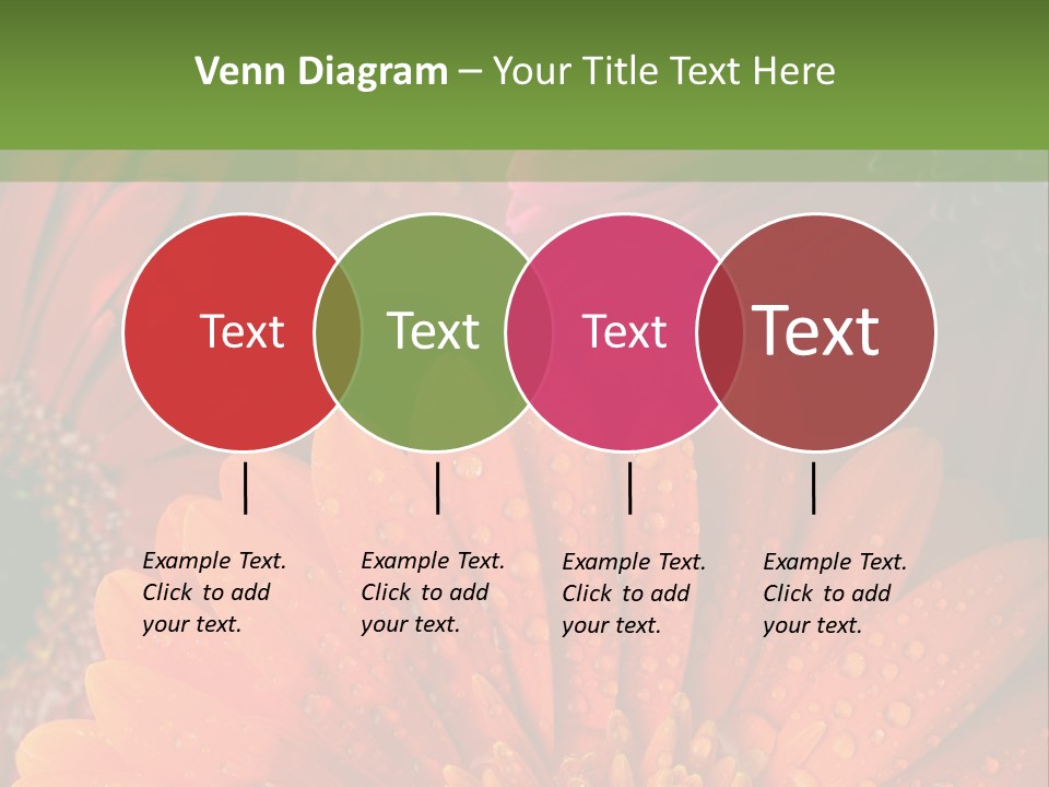 Gerbera Background Seasonal PowerPoint Template