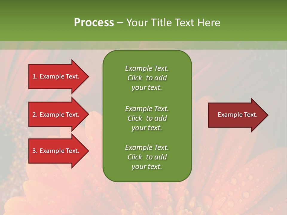 Gerbera Background Seasonal PowerPoint Template