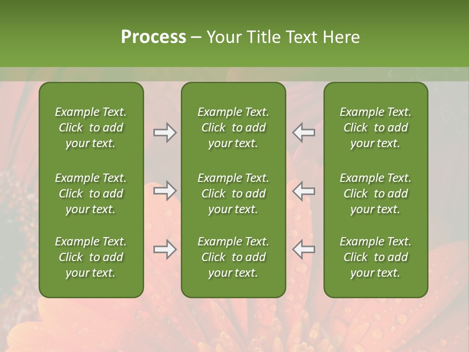Gerbera Background Seasonal PowerPoint Template