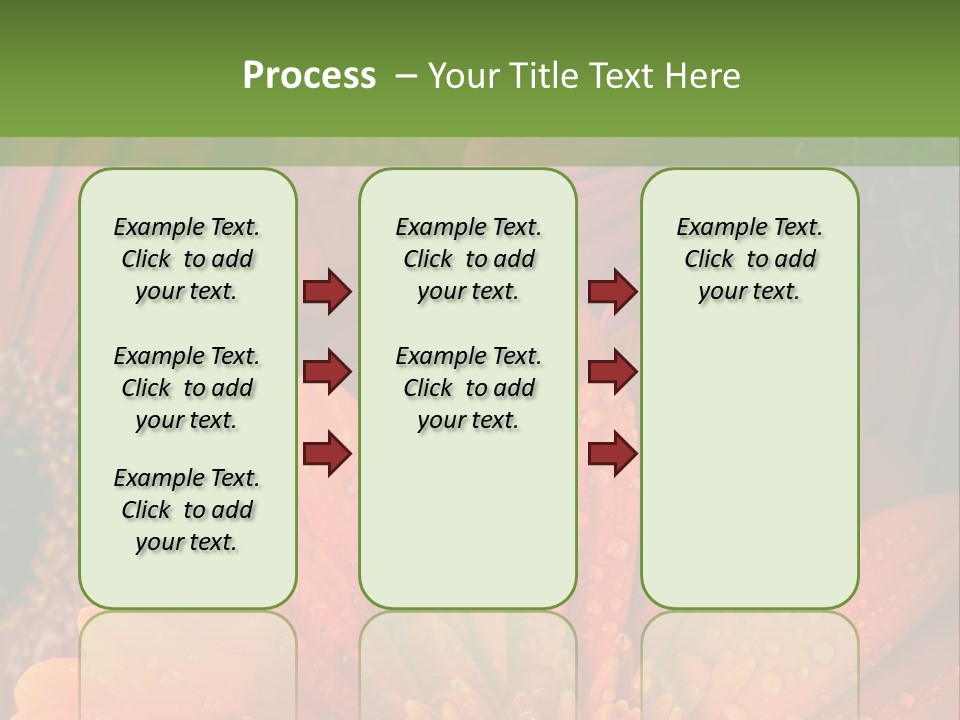 Gerbera Background Seasonal PowerPoint Template