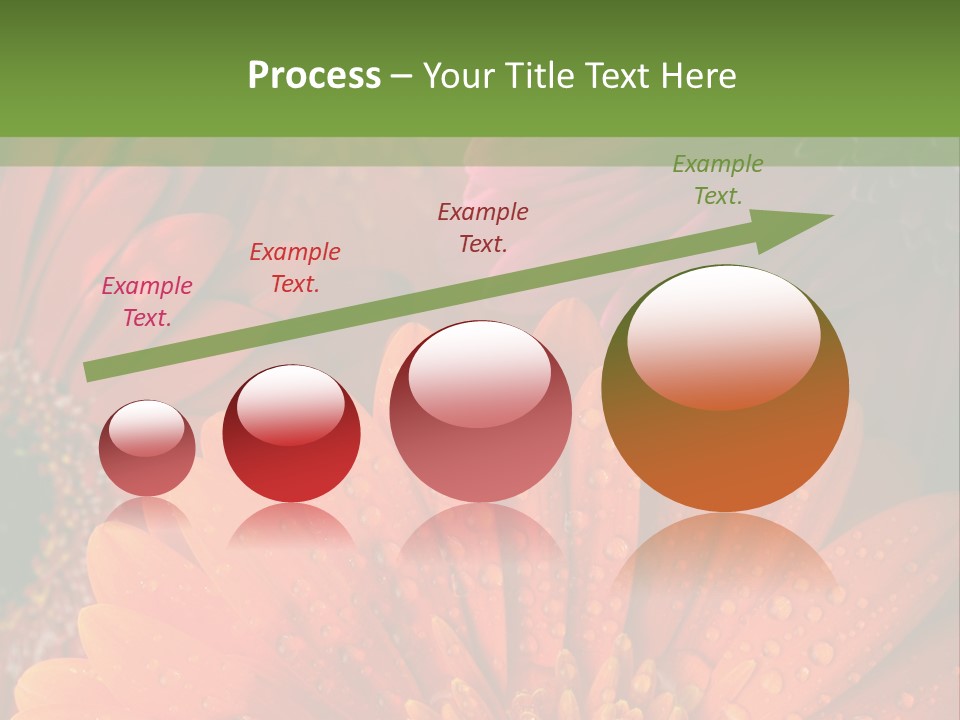 Gerbera Background Seasonal PowerPoint Template