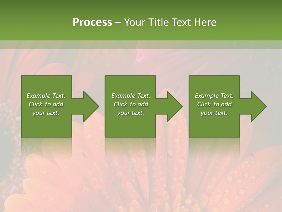 Gerbera Background Seasonal PowerPoint Template